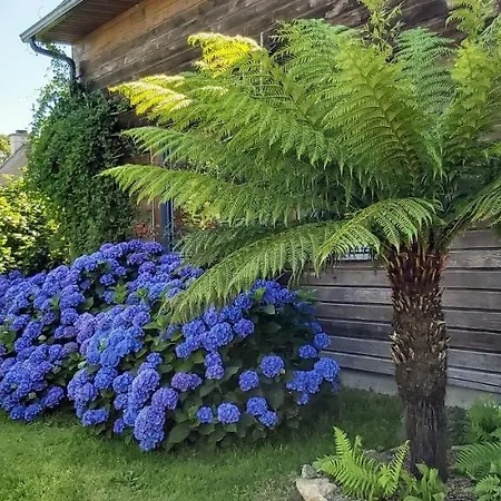 L'oustaou Du Bodo Bed & Breakfast